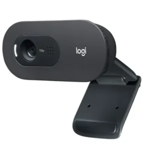 Camara Web Logitech C505 HD Webcam