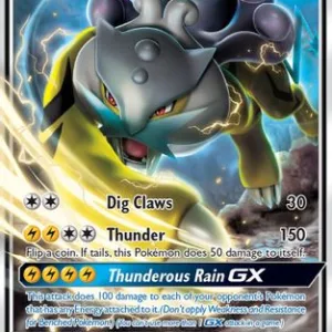 Raikou GX SM121 Pokemon Promo